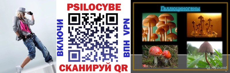 Псилоцибиновые грибы мухоморы  Купить где  Карабаш 